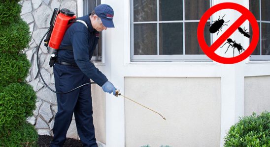 Sinop Tahtakurusu İlaçlama böcek ilaçlama ve haşere kontrolü — ilaclama-tr.com
